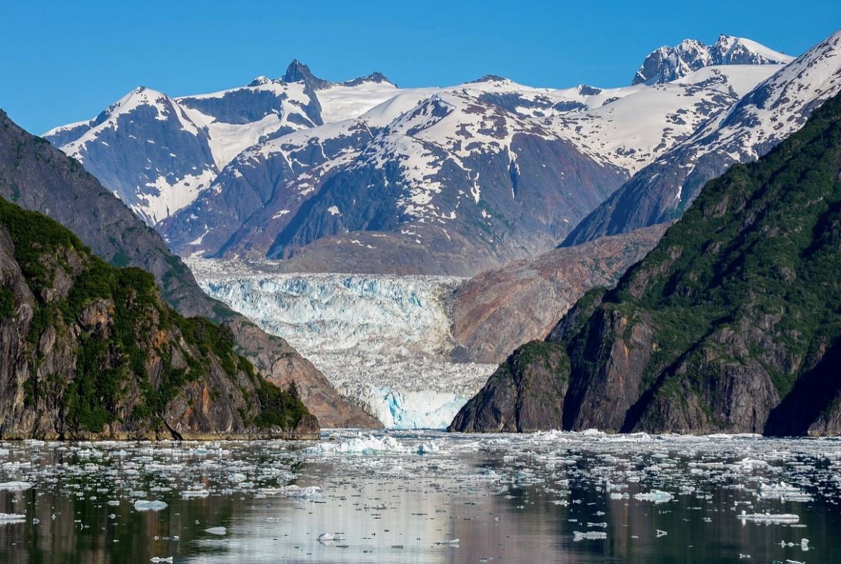 Jane Wooster Scott リトグラフ「チェサピークの野生の白鳥」 South Sawyer Glacier | Island Artists Gallery